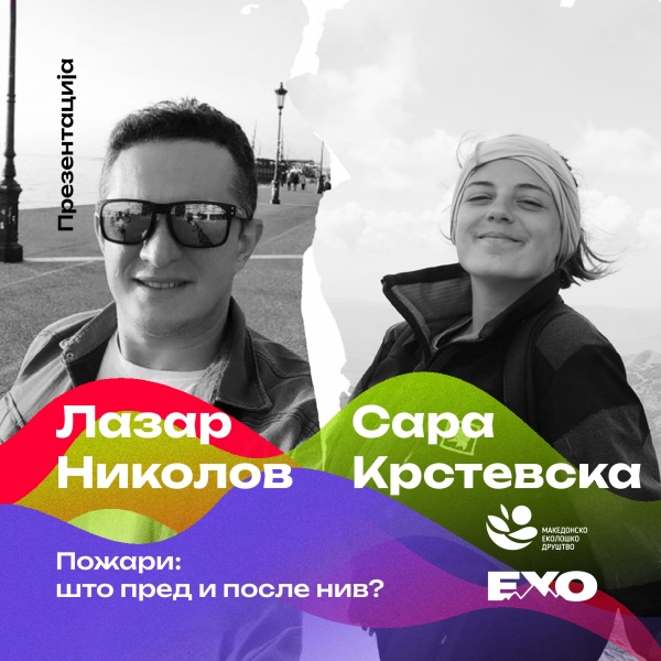 Lecture: "Fires: what before and after them?"