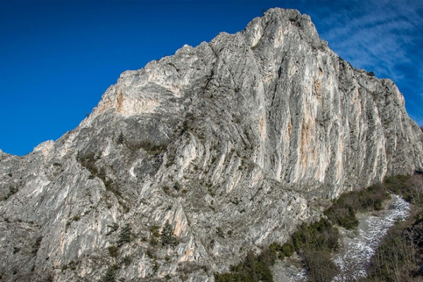 Presentations by MACF members