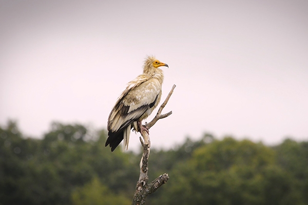 Презентација на Македонско Еколошко Друштво